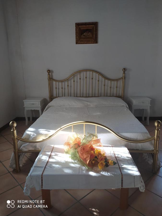 Bed and Breakfast La Rosa Selvatica Ravarino Zewnętrze zdjęcie