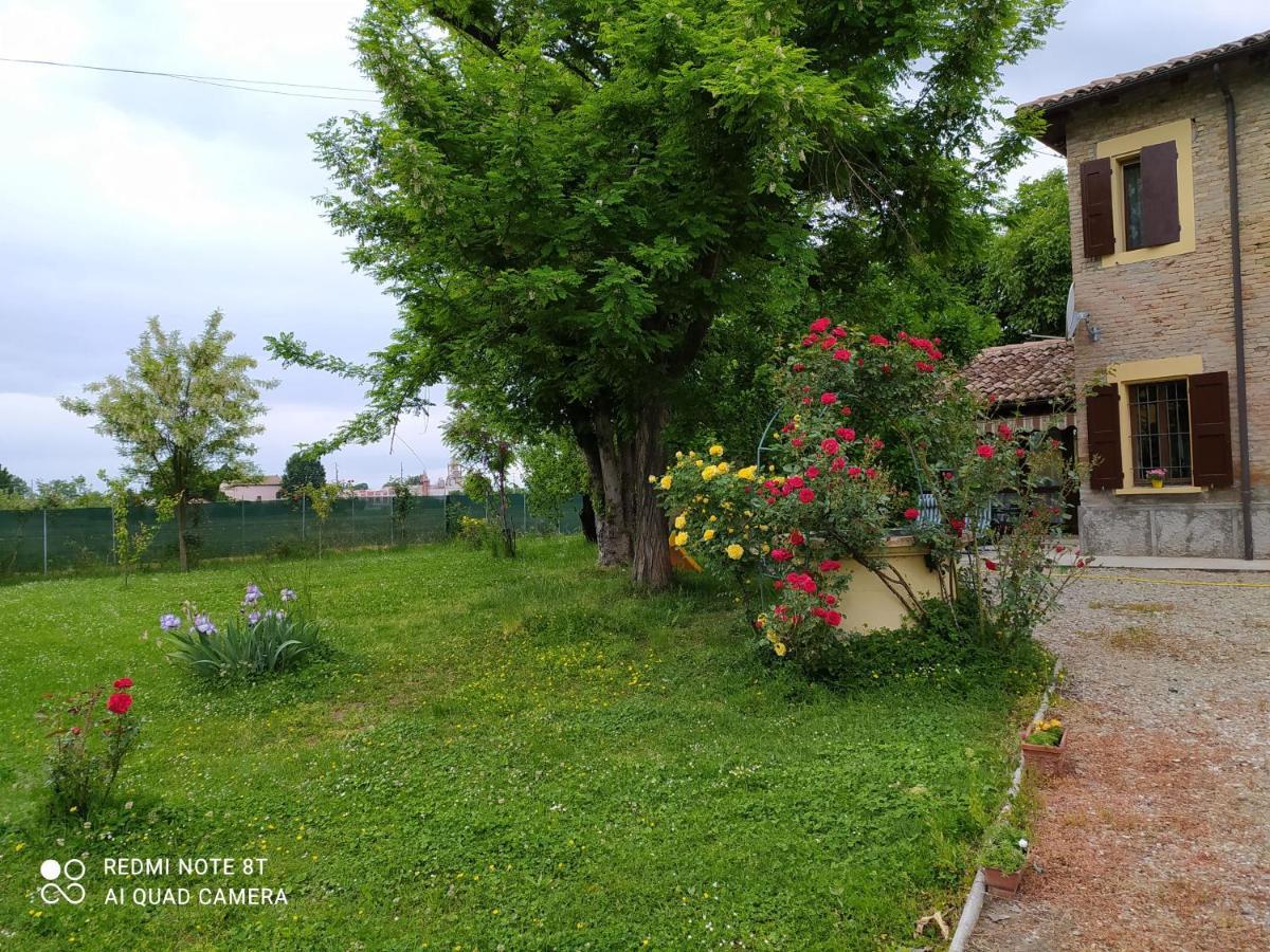 Bed and Breakfast La Rosa Selvatica Ravarino Zewnętrze zdjęcie