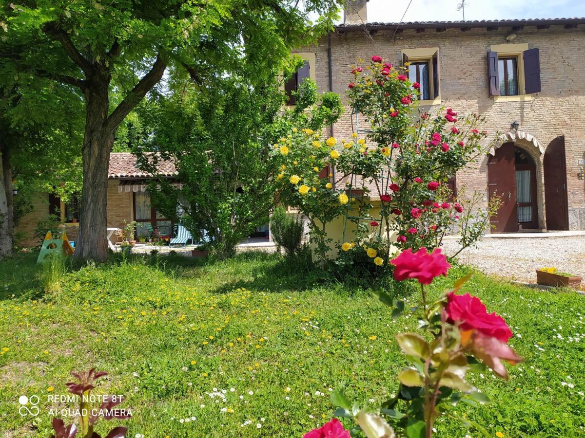 Bed and Breakfast La Rosa Selvatica Ravarino Zewnętrze zdjęcie