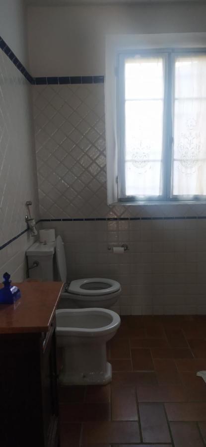 Bed and Breakfast La Rosa Selvatica Ravarino Zewnętrze zdjęcie