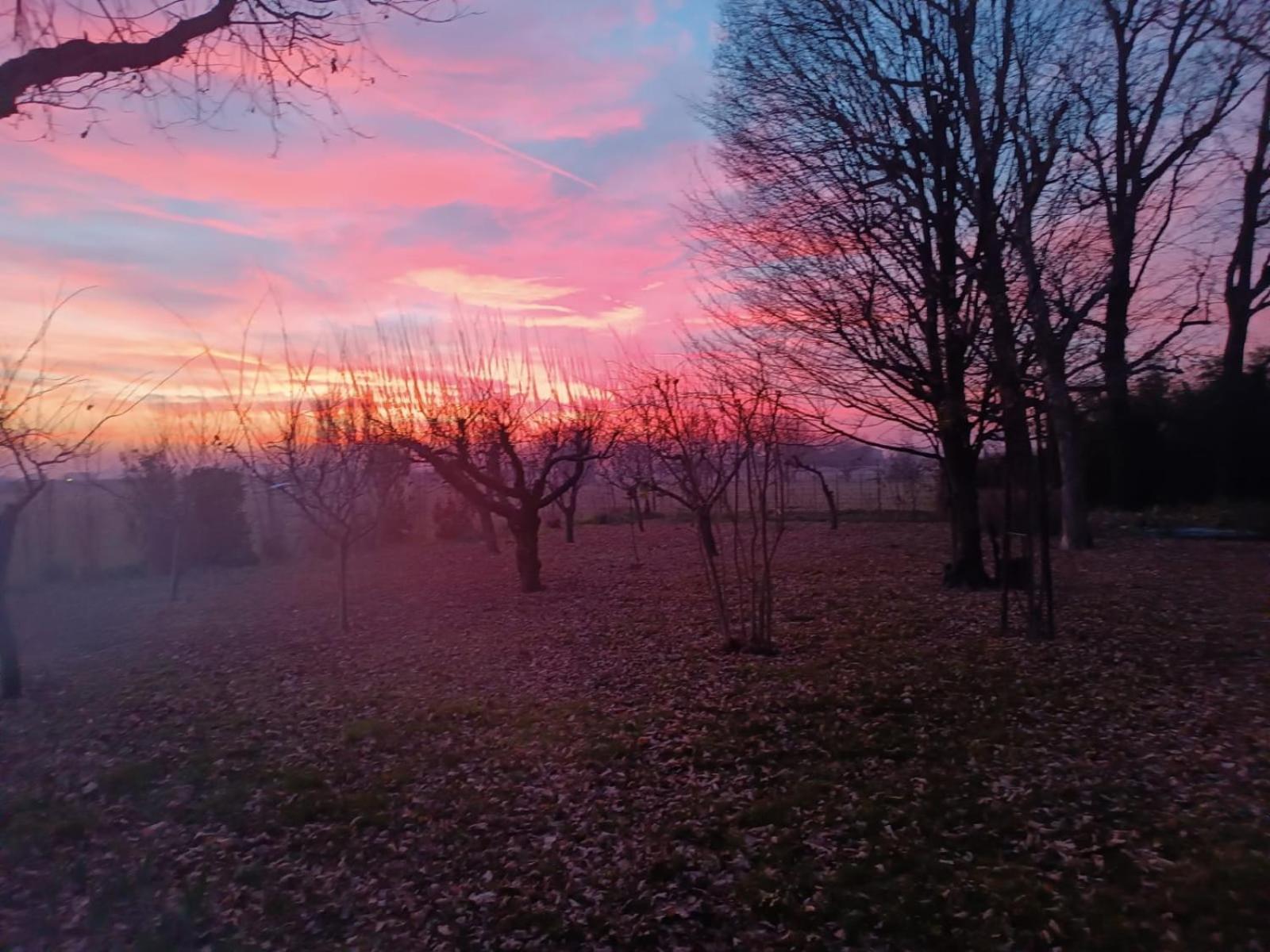 Bed and Breakfast La Rosa Selvatica Ravarino Zewnętrze zdjęcie
