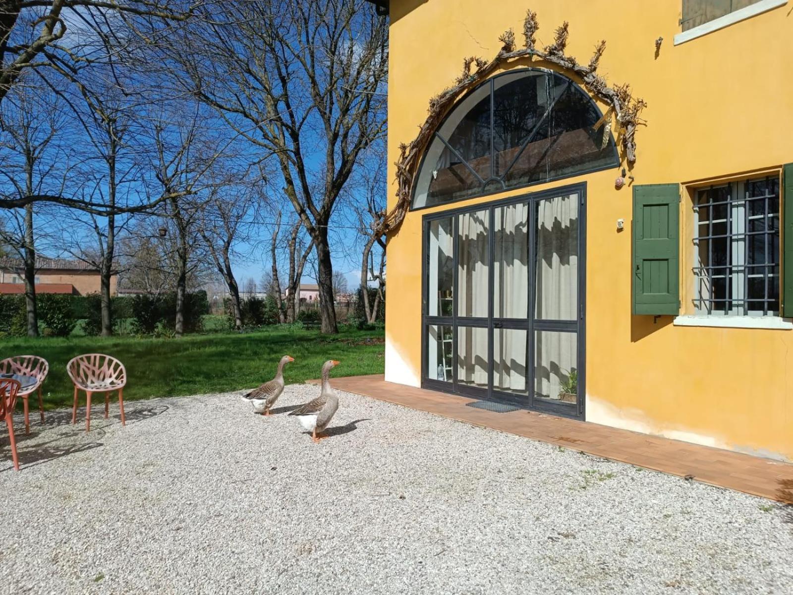 Bed and Breakfast La Rosa Selvatica Ravarino Zewnętrze zdjęcie
